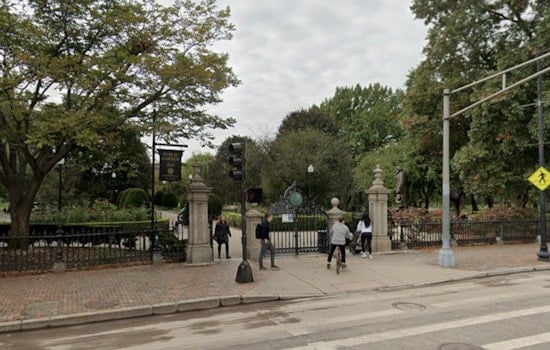 Iconic Boston Willow Crashes Into Lagoon as Public Garden Loses Grand Old Trees
