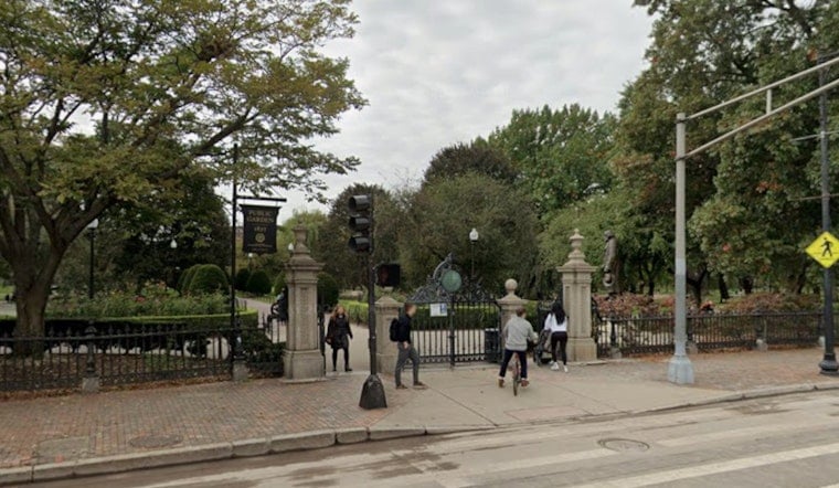 Iconic Boston Willow Crashes Into Lagoon as Public Garden Loses Grand Old Trees
