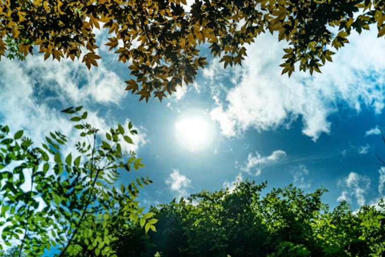 Indy Sizzles Under Heat Advisory As Heat Index Nears 100