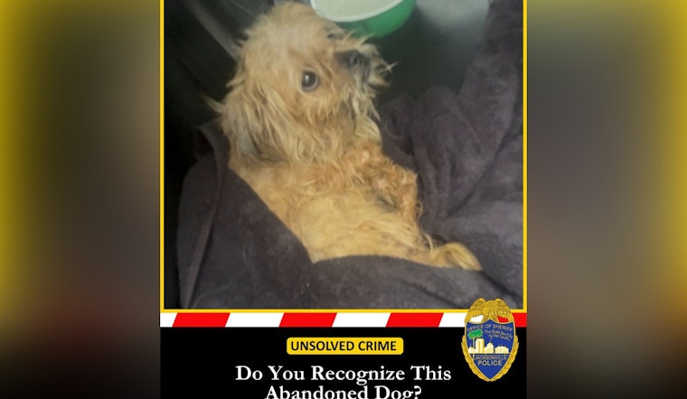 Jacksonville Cops Hunt Person Who Dumped Malnourished Dog In Crate