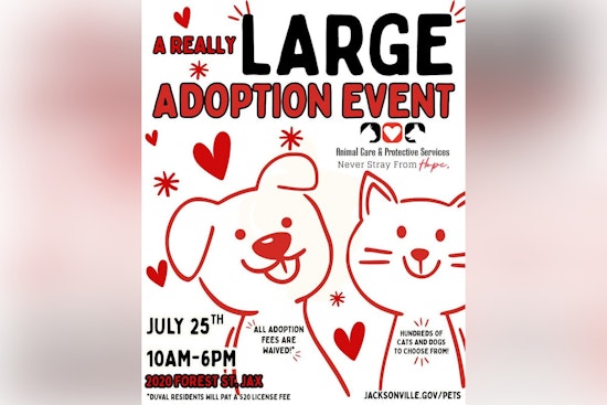 Jacksonville Shelter Braces For Pet Stampede As Adoption Fees Drop To Zero