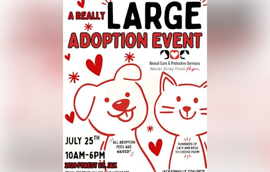 Jacksonville Shelter Braces For Pet Stampede As Adoption Fees Drop To Zero