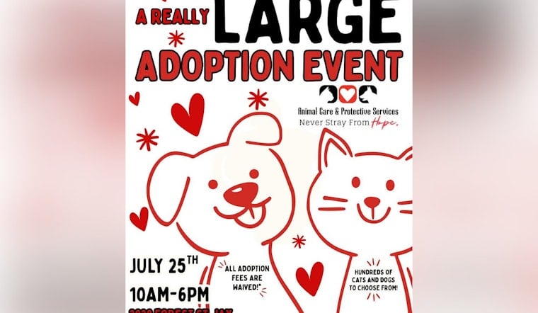 Jacksonville Shelter Braces For Pet Stampede As Adoption Fees Drop To Zero