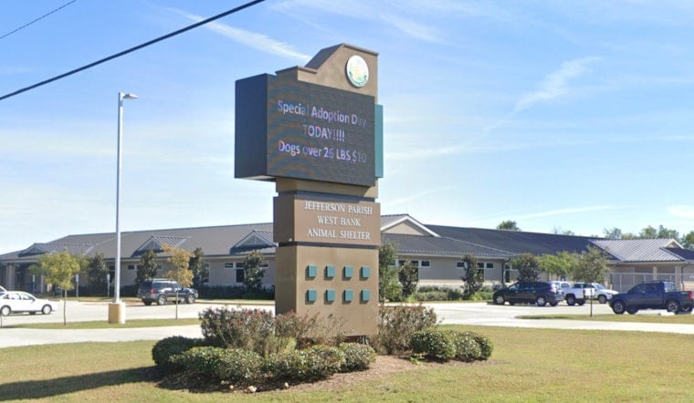Jefferson Parish Dog Bust Puts Shelters In Crisis Mode