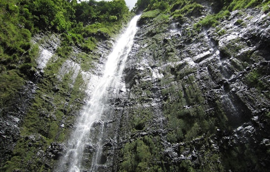 Judge Reins in Mahi Pono, Orders Showdown Over East Maui Streams