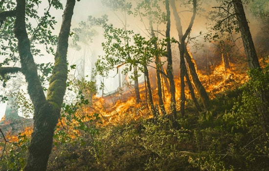 Juno Fire Rips Through 30 Acres Near Lancaster, Triggers Second Alarm Blitz