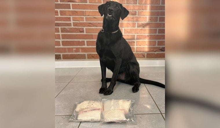 K9 Snoop Helps Hamilton Cops Nab 6.4 Pounds of Meth on Neilan Boulevard