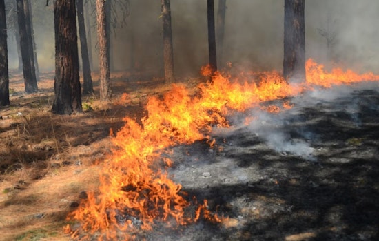 Kawaihae Brush Blaze Sparks South Kohala Wildfire Alert