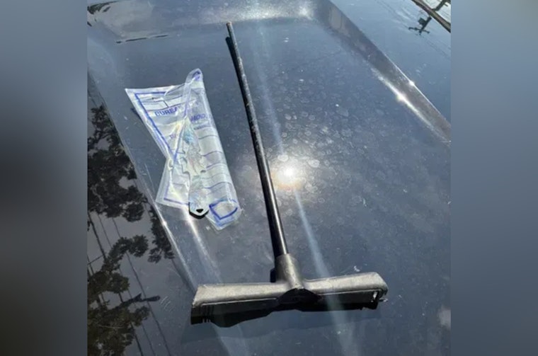 Knife-Throwing Suspect Sparks Wild Standoff on NE 122nd, Cops Say