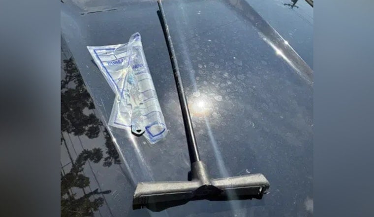 Knife-Throwing Suspect Sparks Wild Standoff on NE 122nd, Cops Say