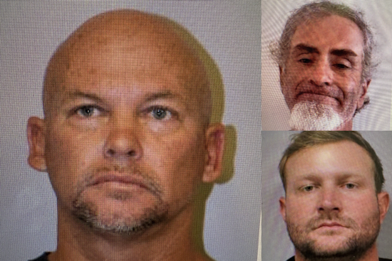 Kona Sweep Nabs 3 Big Island Men In Sex Registry Crackdown