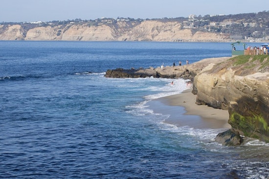 La Jolla Erupts After Shocking Sea Lion Kick Caught on Camera