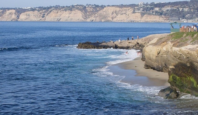 La Jolla Erupts After Shocking Sea Lion Kick Caught on Camera
