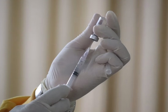 La Jolla HIV Vaccine Test In Monkeys Delivers Rare Antibody Breakthrough