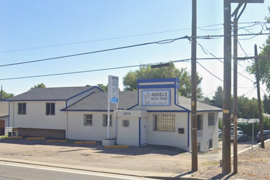 Lakewood Cat Shelter’s AC Meltdown Puts Sick Cats On The Brink