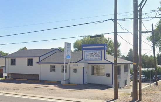 Lakewood Cat Shelter’s AC Meltdown Puts Sick Cats On The Brink