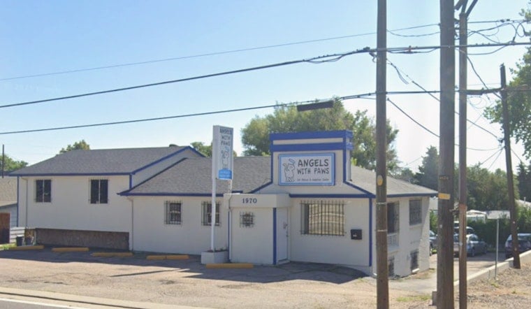 Lakewood Cat Shelter’s AC Meltdown Puts Sick Cats On The Brink