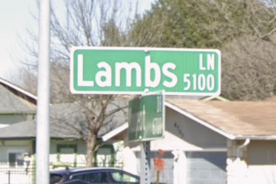 Lambs Lane Horror as Southeast Austin Woman Charged In Fatal Stabbing