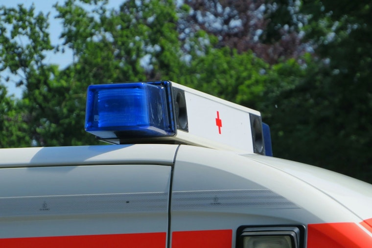 Las Vegas Man Slammed With $1,500 Ambulance Bill After Dog Scratch Scare