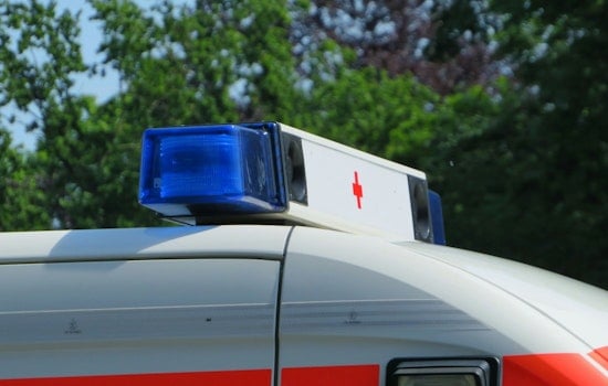 Las Vegas Man Slammed With $1,500 Ambulance Bill After Dog Scratch Scare
