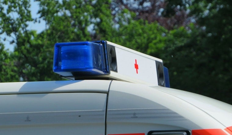 Las Vegas Man Slammed With $1,500 Ambulance Bill After Dog Scratch Scare