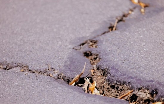 Late-Night Quake Off Vancouver Island Jars Puget Sound, Leaves No Damage