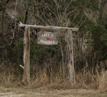 Texas Timber Dynasty's Utopia Hideout Lists for $19.95 Million