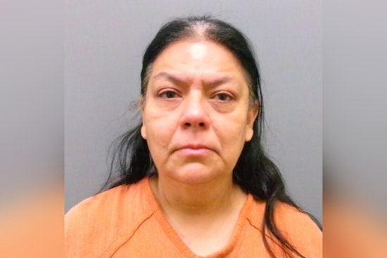 League City Cops Bust Houston Woman in $400K Beauty Heist