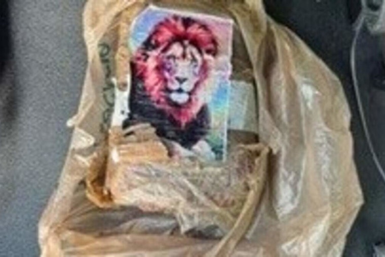 Lion-Label Coke Brick Crashes Ashore at Robbie’s Marina in the Keys