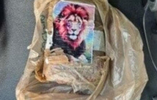 Lion-Label Coke Brick Crashes Ashore at Robbie’s Marina in the Keys