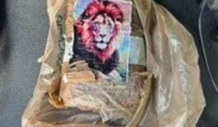Lion-Label Coke Brick Crashes Ashore at Robbie’s Marina in the Keys