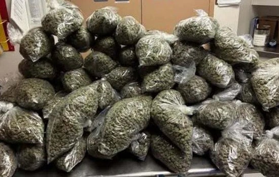 Livermore Cops Bust Armed Road-Rage Suspect, Then Reel In 80-Pound Pot Haul