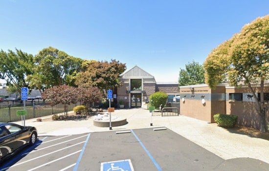 Livermore Hero Saves 16 Abandoned Puppies After Walmart Lot Scare