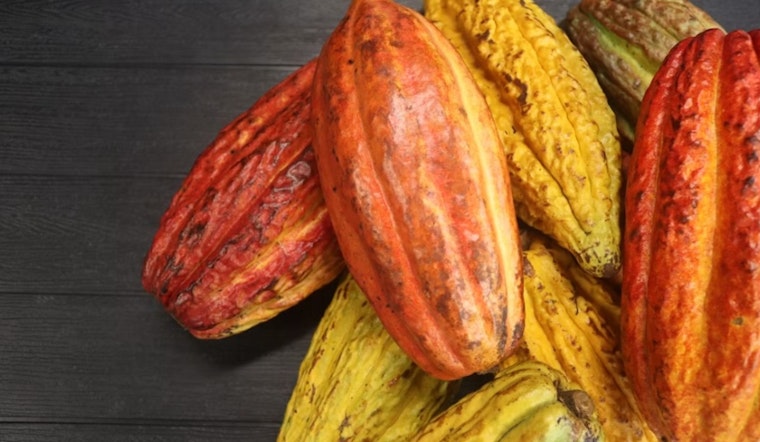 Local Chocolate Maker Snaps Up Dole’s Waialua Cacao Fields