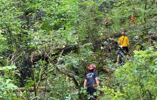 Logger Pinned By Falling Tree Saved In Risky Forest Park Hillside Rescue