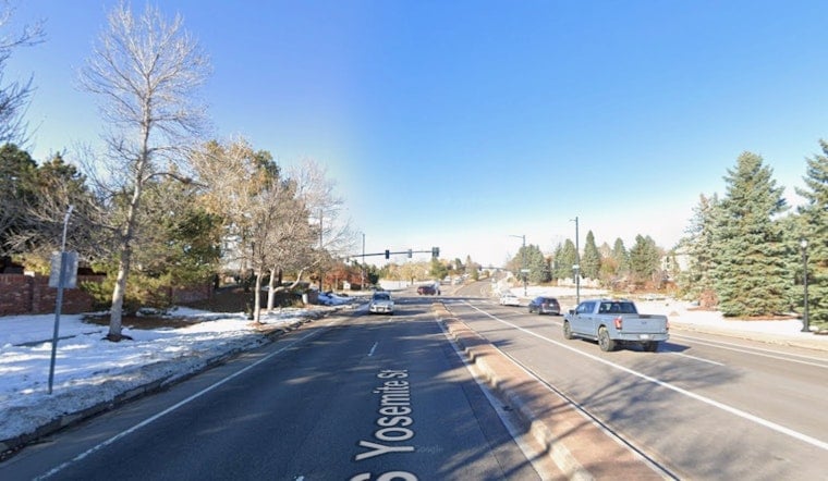 Lone Tree Bear Hit On Yosemite Street As Sightings Keep Climbing
