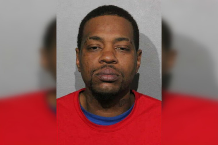Loop Red Line Horror: Man Gets 25 Years For Deadly Train Stomping