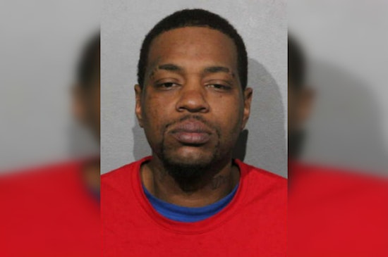 Loop Red Line Horror: Man Gets 25 Years For Deadly Train Stomping