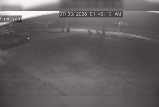 Lutz Car Burglary Call Ends With Two Teens Charged