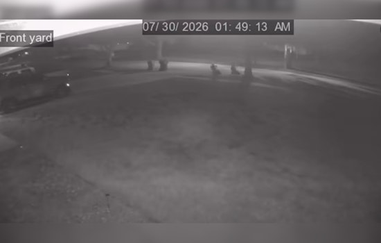 Lutz Car Burglary Call Ends With Two Teens Charged