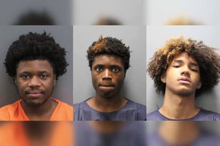 Lutz Teens Nabbed After Aiming BB Guns at Sheriff’s Chopper