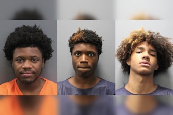 Lutz Teens Nabbed After Aiming BB Guns at Sheriff’s Chopper