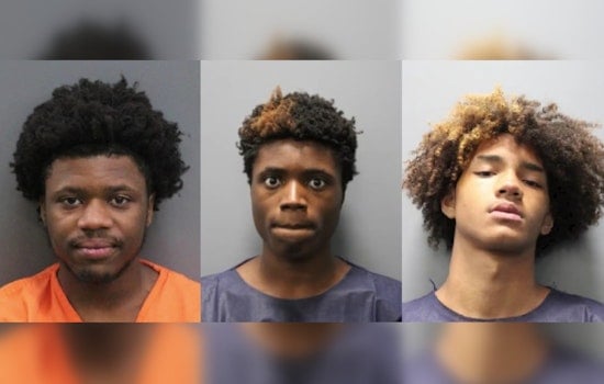 Lutz Teens Nabbed After Aiming BB Guns at Sheriff’s Chopper