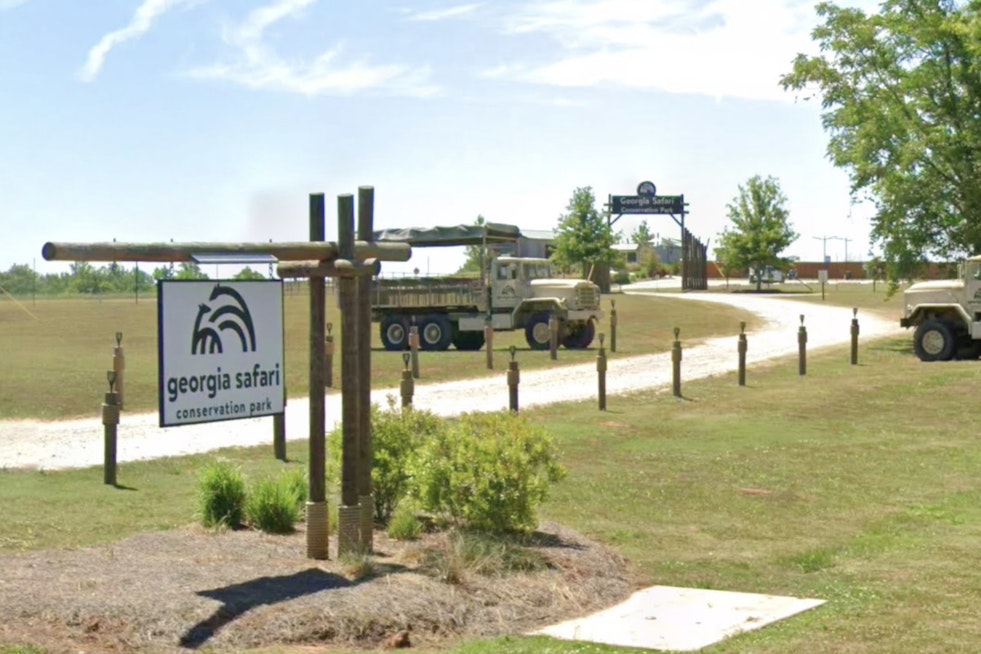 Madison Safari Park Unleashes New Wild Habitat Just an Hour From Atlanta