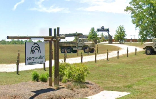 Madison Safari Park Unleashes New Wild Habitat Just an Hour From Atlanta