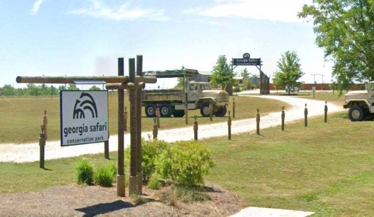 Madison Safari Park Unleashes New Wild Habitat Just an Hour From Atlanta