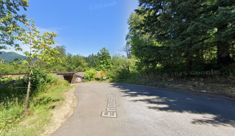 Man Fatally Mowed Down By Freight Train In Columbia Gorge Rail Horror