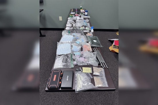 Maury County Drug Sting Nets 2,000 Pills, Cash Stash and Guns