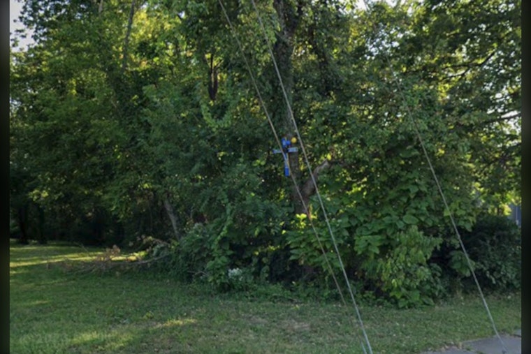 Memorial Cross Disappears From Independence Tree, Leaving Hardware Behind