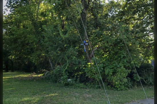 Memorial Cross Disappears From Independence Tree, Leaving Hardware Behind